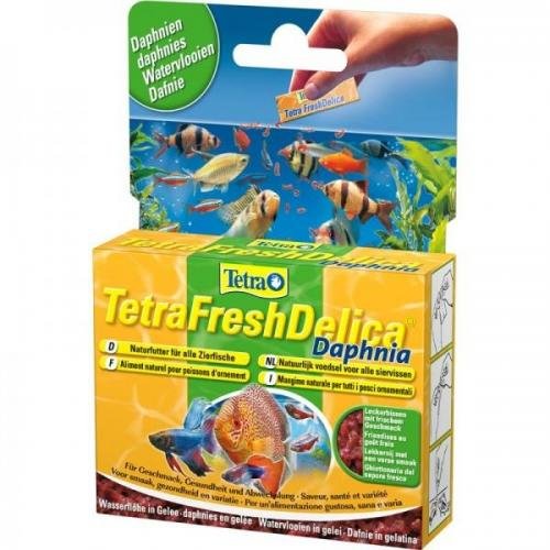 Tetra Delica Fresh Daphnien 48 g, Flockenfutter, Hauptfutter von Tetra