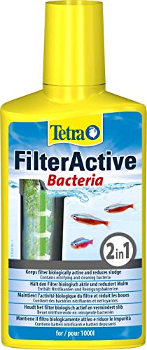 Tetra FilterActive Bacteria - 2in1 Mix aus lebenden Starterbakterien und schlammreduzierenden Reinigungsbakterien, hält den Filter biologisch aktiv und reduziert Mulm, 250 ml von Tetra
