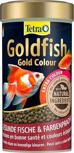 Tetra Goldfish Gold Colour - Premium Granulat-Fischfutter für alle Goldfische und andere Kaltwasserfische, 250 ml Dose von Tetra
