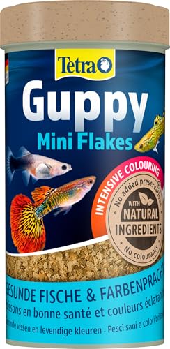 Tetra Guppy Mini Flakes - Fischfutter für alle Guppys, feines Flockenfutter für eine ausgewogene und nährstoffreiche Ernährung, 250 ml Dose von Tetra