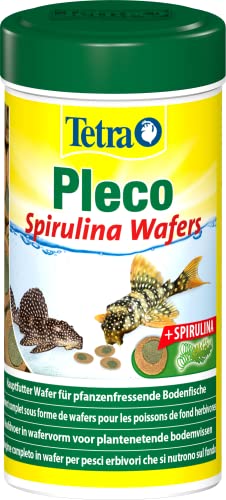 Tetra Pleco Algae Wafers - Fischfutter mit Spirulina-Algen für algenweidende Bodenfische, 250 ml Dose von Tetra