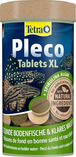 Tetra Pleco XL Tablets – Nährstoffreiches Fischfutter für alle größeren pflanzenfressenden Bodenfische mit unterständigem Maul, 133 Tabletten Dose von Tetra