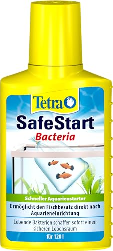 Tetra SafeStart Aquarienstarter - mit lebenden nitrifizierenden Bakterien, erlaubt den schnellen Einsatz von Fischen, 100 ml Flasche von Tetra