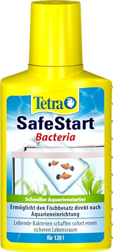 Tetra SafeStart Aquarienstarter - mit lebenden nitrifizierenden Bakterien, erlaubt den schnellen Einsatz von Fischen, 100 ml Flasche Tetra SafeStart Aquarienstarter - mit lebenden nitrifizierenden Bakterien, erlaubt den schnellen Einsatz von Fischen, 100 ml Flasche von Tetra