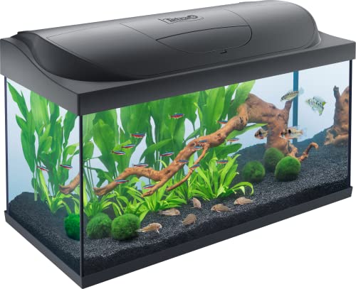 Tetra Starter Line 105 L Aquarium Komplett-Set - inkl. Tag- & Nachtlicht LED-Beleuchtung, Innenfilter, Heizer, Fischfutter und Wasseraufbereiter Tetra Starter Line 105 L Aquarium Komplett-Set - inkl. Tag- & Nachtlicht LED-Beleuchtung, Innenfilter, Heizer, Fischfutter und Wasseraufbereiter von Tetra