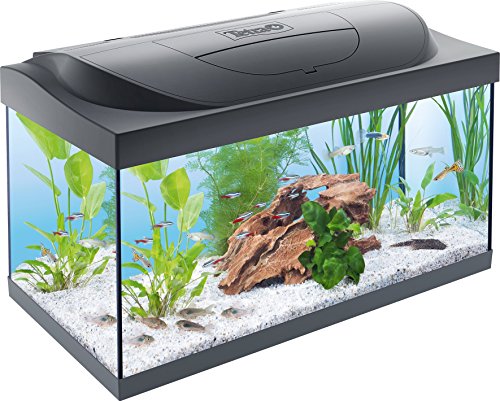 Tetra Starter Line 54 L Aquarium Komplett-Set mit LED-Beleuchtung - stabiles Einsteigerbecken mit Technik, Futter und Pflegemitteln, Farbe: Schwarz von Tetra