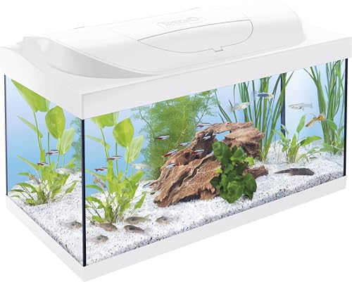 Tetra Starter Line 54 L Aquarium Weiß, Komplett-Set - inkl. Tag- & Nachtlicht LED-Beleuchtung, Innenfilter, Heizer, Fischfutter und Wasseraufbereiter Tetra Starter Line 54 L Aquarium Weiß, Komplett-Set - inkl. Tag- & Nachtlicht LED-Beleuchtung, Innenfilter, Heizer, Fischfutter und Wasseraufbereiter von Tetra