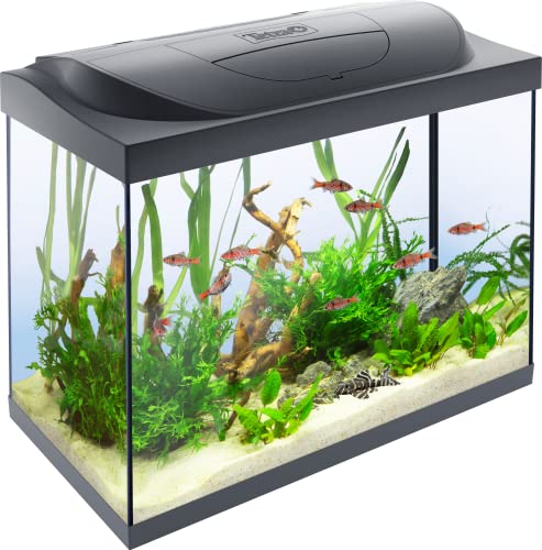 Tetra Starter Line 80 L Aquarium Komplett-Set - inkl. Tag- & Nachtlicht LED-Beleuchtung, Innenfilter, Heizer, Fischfutter und Wasseraufbereiter Tetra Starter Line 80 L Aquarium Komplett-Set - inkl. Tag- & Nachtlicht LED-Beleuchtung, Innenfilter, Heizer, Fischfutter und Wasseraufbereiter von Tetra