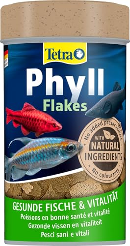 TetraPhyll Flakes - Fischfutter für alle pflanzenfressenden Zierfische, Flockenfutter mit lebenswichtigen Ballaststoffen, 100 ml Dose TetraPhyll Flakes - Fischfutter für alle pflanzenfressenden Zierfische, Flockenfutter mit lebenswichtigen Ballaststoffen, 100 ml Dose von Tetra