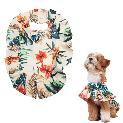 Teumessian Hawaii-Umhang für Hunde, Hundekleidung für kleine Hunde, Haustierkleid, Katzenponcho, Sommer, Grün, Größe S Teumessian Hawaii-Umhang für Hunde, Hundekleidung für kleine Hunde, Haustierkleid, Katzenponcho, Sommer, Grün, Größe S von Teumessian