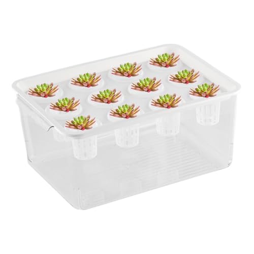 Betta Fischtank, Betta Aquarium | Desktop -Pflanzerdekorationen - Betta Fischtankpflanzen Stecklinge Propagationsstation für Desktop -Dekorationen von Tewzafiya