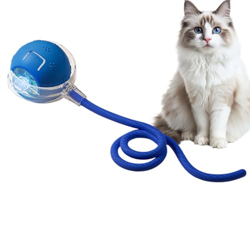 Bewegungsaktivierte Katzenspielzeugbälle, Interaktiver Katzenspielzeugball | Schnell rollende Katzenspielzeugbälle Kätzchenspielzeug | Katzen-Teaser-Ball, Katzenspielzeug, 3 Modi, interaktiver Spaß fü Bewegungsaktivierte Katzenspielzeugbälle, Interaktiver Katzenspielzeugball | Schnell rollende Katzenspielzeugbälle Kätzchenspielzeug | Katzen-Teaser-Ball, Katzenspielzeug, 3 Modi, interaktiver Spaß fü von Tewzafiya