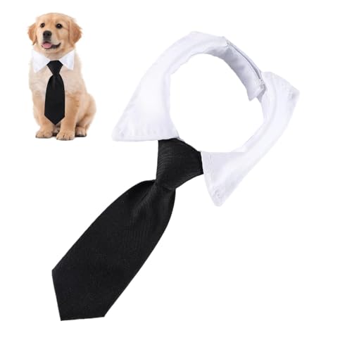 Hunde-Bandana-Halsband, Bandana-Halsband mit Fliege - Haustier-Bandana-Halsband - Formelles Hundehalsband mit niedlichem Fliege-Design für den Alltag, Hochzeit, Spaziergang, Valentinstag Hunde-Bandana-Halsband, Bandana-Halsband mit Fliege - Haustier-Bandana-Halsband - Formelles Hundehalsband mit niedlichem Fliege-Design für den Alltag, Hochzeit, Spaziergang, Valentinstag von Tewzafiya