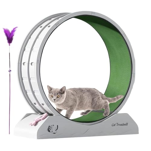 Katzenrad -Übende, Laufrad für Katzen | Fitnessausrüstung für Kätzchen | Großer Katzenrad -Übende für Innenräume, Sicherheitskätzchen -Laufband mit Teaser Katzenrad -Übende, Laufrad für Katzen | Fitnessausrüstung für Kätzchen | Großer Katzenrad -Übende für Innenräume, Sicherheitskätzchen -Laufband mit Teaser von Tewzafiya