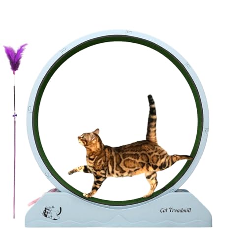 Trainingsrad für Katzen, Katzenrad -Training | Fitnessausrüstung für Kätzchen,Großer Katzenrad -Übende für Innenräume, Sicherheitskätzchen -Laufband mit Teaser Trainingsrad für Katzen, Katzenrad -Training | Fitnessausrüstung für Kätzchen,Großer Katzenrad -Übende für Innenräume, Sicherheitskätzchen -Laufband mit Teaser von Tewzafiya