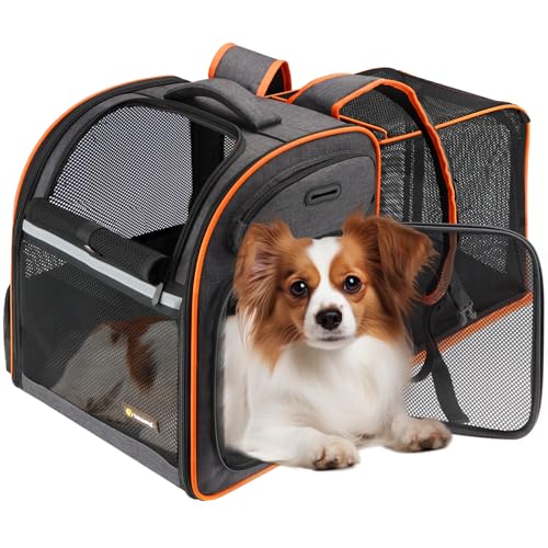 Texsens Innovativer Traveler Bubble Rucksack Haustiertrager für Katzen und Hunde, Katzenrucksack mit verbessertem erweiterbarem Zeltbett für mehr Platz (Schwarz) von Texsens