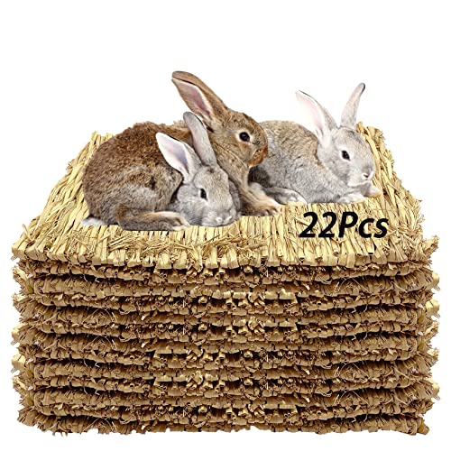 Tfwadmx 24 Stück Grasmatte für Kaninchen, Kaninchen, Naturstroh, gewebtes Bett, Kleintierkäfig, Schlafmatte, Heumatte, Nest, Spiel, Kauspielzeug für Meerschweinchen, Katzen, Hunde und Kleintiere von Tfwadmx