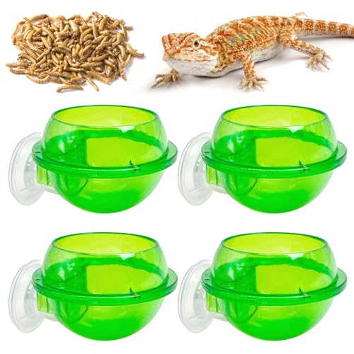 Tfwadmx Chamäleon-Schale, Reptilien-Futterspender, Wurm-Futterbehälter, Wasserschale, Gecko-Leiste mit Saugnapf, Zubehör für Gecko, Eidechse, Bartschlangen, Drache, 4 Stück Tfwadmx Chamäleon-Schale, Reptilien-Futterspender, Wurm-Futterbehälter, Wasserschale, Gecko-Leiste mit Saugnapf, Zubehör für Gecko, Eidechse, Bartschlangen, Drache, 4 Stück von Tfwadmx