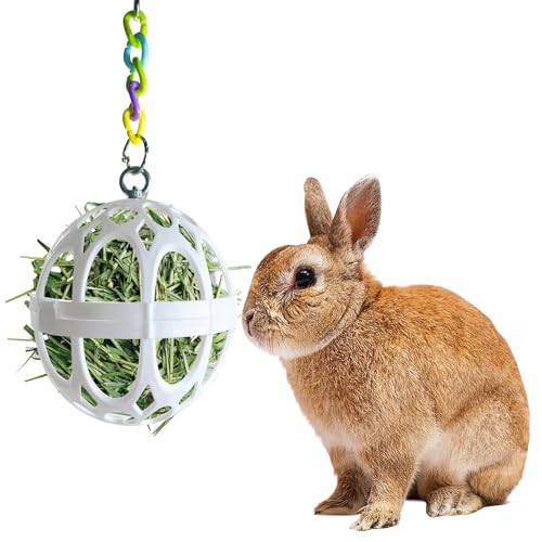 Tfwadmx Kaninchen Heu Feeder Gras Spielen Heuball Kauspielzeug Kunststoff Futter und Gras Rahmen Schalen Kleintiere Heukrippe Spender mit Kette für Hamster Rennmäuse Chinchillas Meerschweinchen Tfwadmx Kaninchen Heu Feeder Gras Spielen Heuball Kauspielzeug Kunststoff Futter und Gras Rahmen Schalen Kleintiere Heukrippe Spender mit Kette für Hamster Rennmäuse Chinchillas Meerschweinchen von Tfwadmx