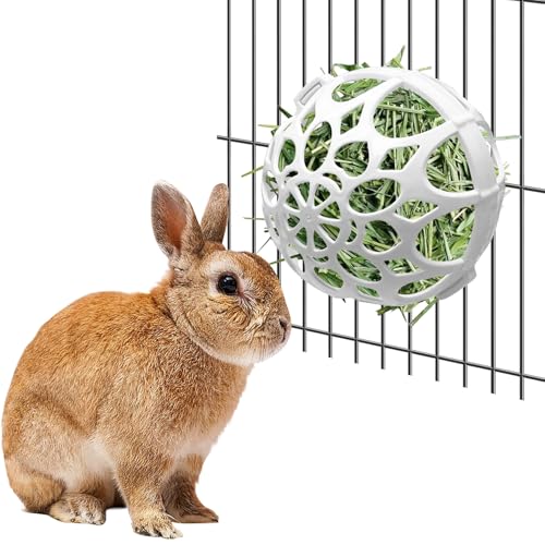 Tfwadmx Kaninchen Heu Feeder Gras Spielen Heuball Kauspielzeug Kunststoff Futter und Gras Rahmen Schalen Kleintiere Heukrippe Spender mit Schrauben für Hamster Rennmäuse Chinchillas Meerschweinchen Tfwadmx Kaninchen Heu Feeder Gras Spielen Heuball Kauspielzeug Kunststoff Futter und Gras Rahmen Schalen Kleintiere Heukrippe Spender mit Schrauben für Hamster Rennmäuse Chinchillas Meerschweinchen von Tfwadmx