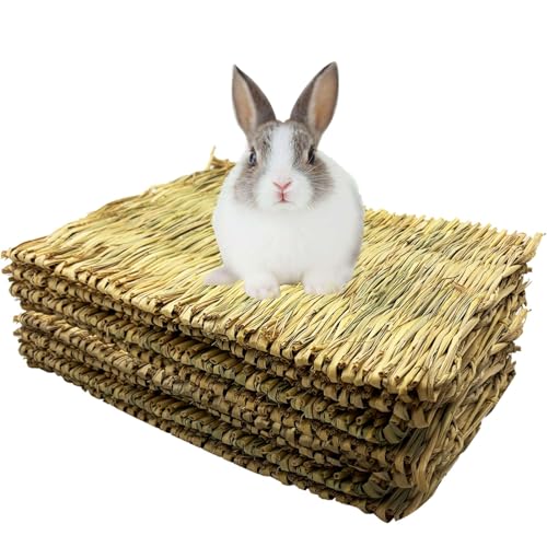 Tfwadmx Kaninchengrasmatte, groß, 41,9 x 27,9 cm, natürliches gewebtes Seegras Matte, Kaninchen, Schlafbett, Kaumatte, Käfig-Kauspielzeug für Chinchilla, Meerschweinchen, Frettchen, Meerschweinchen Tfwadmx Kaninchengrasmatte, groß, 41,9 x 27,9 cm, natürliches gewebtes Seegras Matte, Kaninchen, Schlafbett, Kaumatte, Käfig-Kauspielzeug für Chinchilla, Meerschweinchen, Frettchen, Meerschweinchen von Tfwadmx
