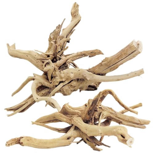 Tfwadmx Natürliches Treibholz für Aquarium, Reptilienzweige, Terrarium, Holz, Aquariumstamm, Treibholz, Baum, Aquarium, Baum, Aquarium, Baum, Dekoration, 2 Stück Tfwadmx Natürliches Treibholz für Aquarium, Reptilienzweige, Terrarium, Holz, Aquariumstamm, Treibholz, Baum, Aquarium, Baum, Aquarium, Baum, Dekoration, 2 Stück von Tfwadmx