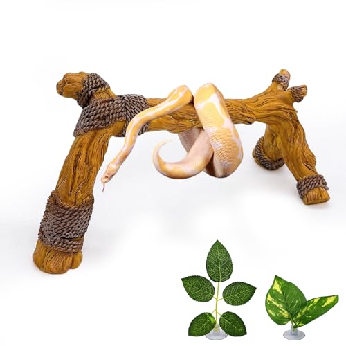 Tfwadmx Schlangenkletterzweig, Harz, Reptilien, simulierte Holzzweige, Einsiedlerkrebse, Kletterspielzeug, Gecko-Tankzweige Dekor für kleine Eidechsen, Vogelspinnen, Frösche Tfwadmx Schlangenkletterzweig, Harz, Reptilien, simulierte Holzzweige, Einsiedlerkrebse, Kletterspielzeug, Gecko-Tankzweige Dekor für kleine Eidechsen, Vogelspinnen, Frösche von Tfwadmx