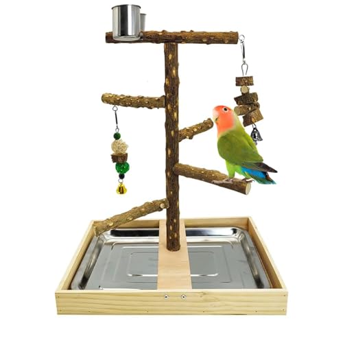 Tfwadmx Vogelsitzstange aus Naturholz, Spielzeug für Papageien, Spielständer, Plattform, Vogelkäfig mit abnehmbarem Tablett und 2 Edelstahlbechern für Sittiche, Kanarienvögel, Nymphensittiche von Tfwadmx