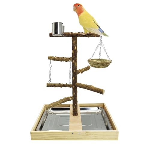 Tfwadmx Vogelsitzstange aus Naturholz, Spielzeug für Papageien, Spielständer Plattform und hängende Vogelnester Vogelkäfig mit abnehmbarem Tablett und 2 Edelstahlbechern für Sittiche, Kanarienvögel von Tfwadmx