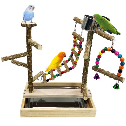 Tfwadmx Vogelspielplatz, Sitzstange Spielständer Plattform Vogelkäfig mit 2 Edelstahlbechern Spielstall Laufgitter für Sittiche Kanarienvögel Nymphensittiche Sittiche Sittiche Sittiche Sit von Tfwadmx