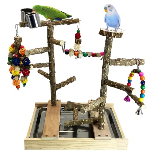 Tfwadmx Vogelspielplatz, Vogelsitzstange Spielständer Plattformkäfig mit 2 Edelstahlbechern Spielhalle für Sittiche Kanarienvögel Nymphensittiche Sittiche Sittiche Sittiche von Tfwadmx