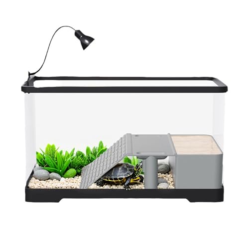 Acryl Aquarium, Mini Terrarium, Aquarium Komplettset Mit BöRsenplattform, Badelicht Und Rampe, Rampe, Garnelen Aquarium Goldfischglas, Glasbecken für Fische Und Wasserpflanzen, 40x22x23cm Acryl Aquarium, Mini Terrarium, Aquarium Komplettset Mit BöRsenplattform, Badelicht Und Rampe, Rampe, Garnelen Aquarium Goldfischglas, Glasbecken für Fische Und Wasserpflanzen, 40x22x23cm von Thaookte