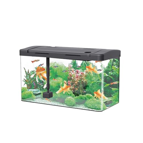Aquarium Acryl Aquarium 19L (40 x 22 x 25 cm) Fischzuchtbox, Fischschale mit Fischtankfilter und Sauerstoffzufuhr, LED-Lichter, Goldfisch Schildkröte Garnelen Tank für Home Office Wohnzimmer von Thaookte