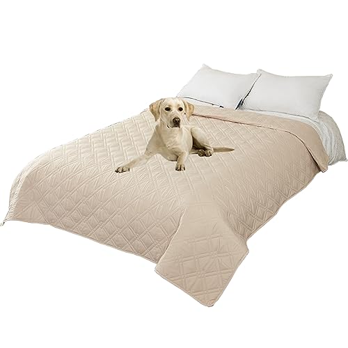 Thdsubb Bettdecke Für Hunde 100% wasserdichte Haustierdecken Hundedecke Matratzenschoner Für Haustier Tagesdecke (100x127cm,Diamant Beige) von Thdsubb