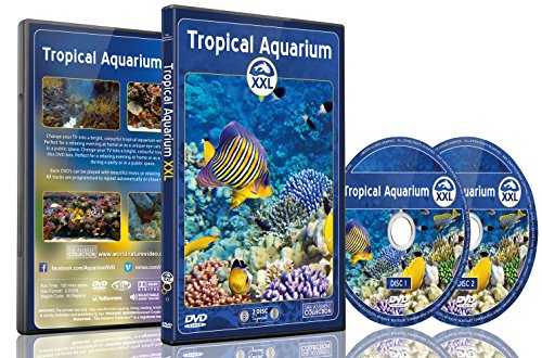 Aquarium DVD - 2 DVD Set Tropisches Aquarium XXL - 2 Stunden mit bunten Korallen und Fischen von The Ambient Collection