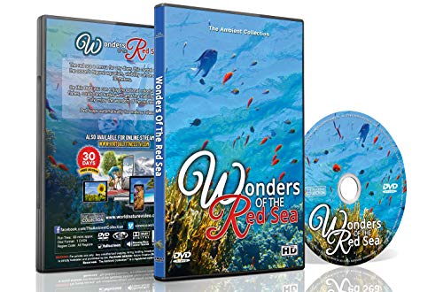 Underwater DVD - Wonders of the Red Sea - Explore Colorful Scenery of Fishes, Corals and Sea Turtles in Amazing Crystal Clear Ocean Seawater von The Ambient Collection