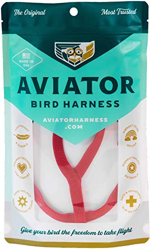 Das AVIATOR Vogel Geschirr & Lein – Made in America von The Aviator