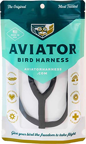 The Aviator Vogelgeschirr und Leine: Petite Black von The Aviator