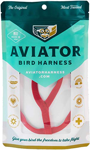 Das Aviator Vogel Geschirr: Small Rotes von The Aviator