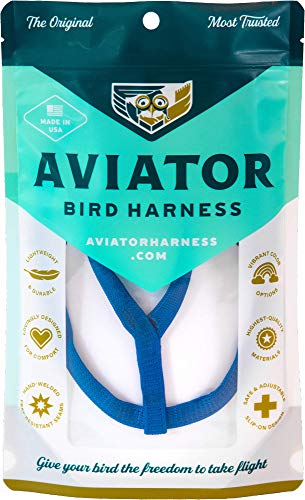 Das Aviator Vogel Geschirr: XX-Large Blaues von The Aviator