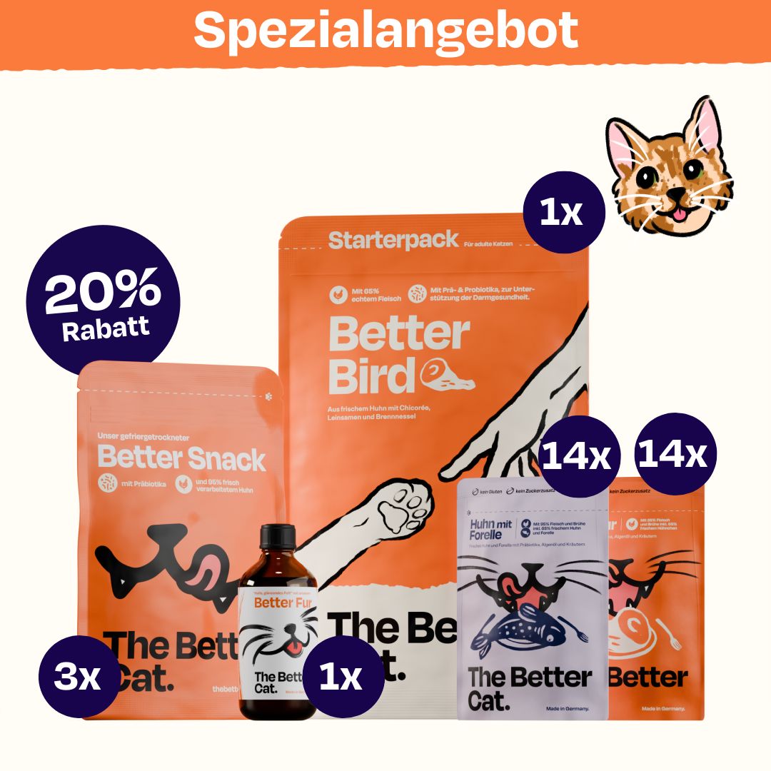 Schnurrbert Luxus-Versorgungspaket für Katzen - The Better Cat Schnurrbert Luxus-Versorgungspaket für Katzen - The Better Cat von The Better Cat