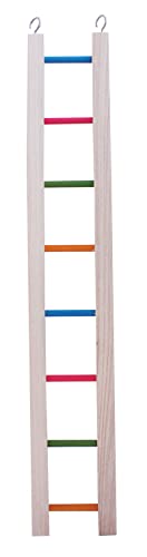 happypet The Bird House Holzleiter, Mehrfarbig, geeignet für Vögel, 92 cm happypet The Bird House Holzleiter, Mehrfarbig, geeignet für Vögel, 92 cm von Happypet