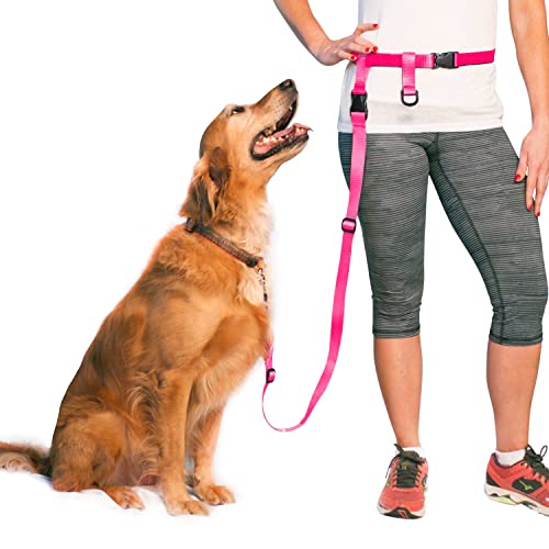 The Buddy System Hundeleine, verstellbare Leine zum Laufen, Joggen, Training und Diensthunde, ideal für kleine, mittelgroße und große Hunde, hergestellt in den USA, Rosa, normaler Gürtel von The Buddy System