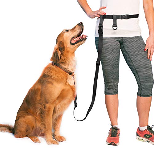 The Buddy System Made in USA Adjustable Hands Free Leash, Great for Running, Regular Dog System, Regular, Black by The Buddy System The Buddy System Made in USA Adjustable Hands Free Leash, Great for Running, Regular Dog System, Regular, Black by The Buddy System von The Buddy System