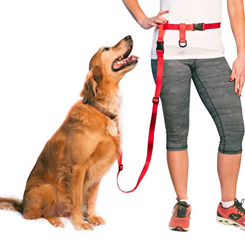 The Buddy System Verstellbare Hundeleine, freihändig, zum Laufen, Joggen, Walken, Wandern und Trainieren, vielseitig einsetzbar, alle Hundegrößen – Made in USA – groß, rot von The Buddy System