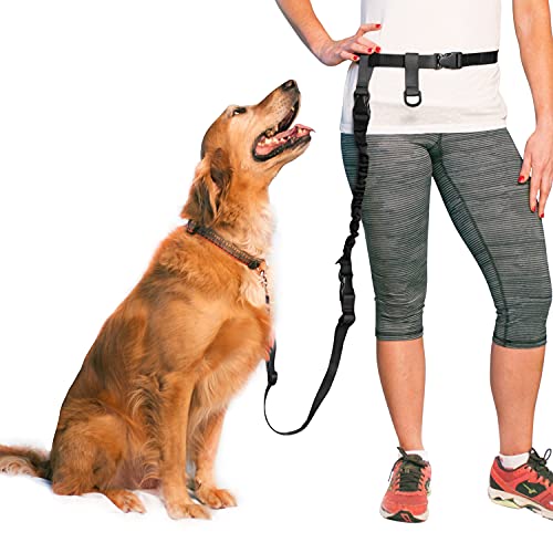 The Buddy System Verstellbare freihändige Hundeleine für Laufen, Joggen und Training, hergestellt in den USA (normaler Gürtel (55,9 cm - 101,6 cm Taille), Bundle-Leine + Longe-Buster) von The Buddy System
