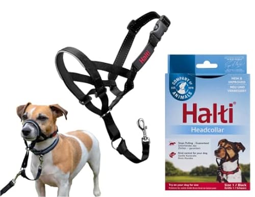 Halti Original Halfter für Hunde, schwarz, Größe 1 – (kleine Hunde) – 3 Stück von Company of Animals