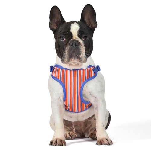 The Dodo Hundegeschirr, gestreift, Größe L, einfaches Hineinsteigen für Hunde, atmungsaktives Netzgewebe, Schnappverschluss, Klemmschnalle, Ring zur Befestigung der Leine, Alltagskleidung The Dodo Hundegeschirr, gestreift, Größe L, einfaches Hineinsteigen für Hunde, atmungsaktives Netzgewebe, Schnappverschluss, Klemmschnalle, Ring zur Befestigung der Leine, Alltagskleidung von The Dodo