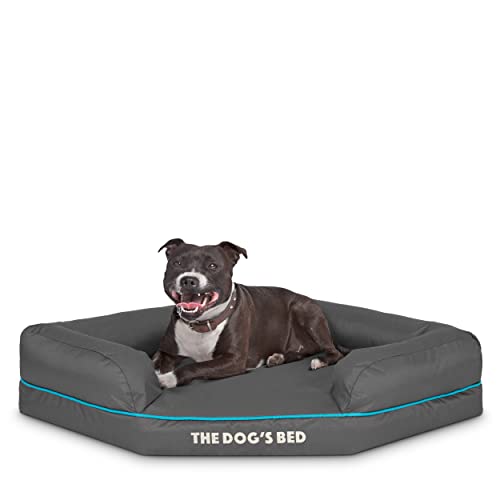 Hundebett Orthopädisch, Premium Memory Foam, wasserdicht, Arthritis Schmerzlinderung, Hüft- und Ellenbogendysplasien, Unterstützung, waschbarer Bezug von The Dog's Balls