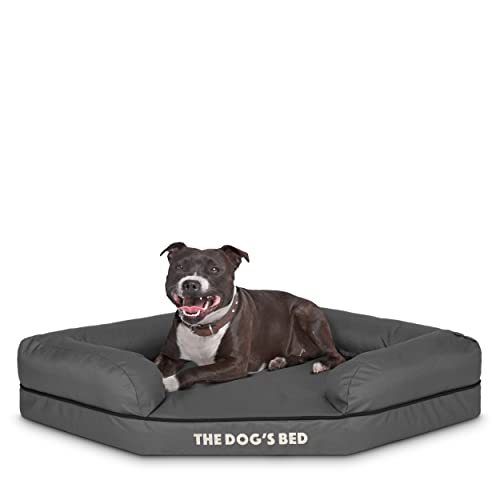 Hundebett Orthopädisch, Premium Memory Foam, wasserdicht, Arthritis Schmerzlinderung, Hüft- und Ellenbogendysplasien, Unterstützung, waschbarer Bezug Hundebett Orthopädisch, Premium Memory Foam, wasserdicht, Arthritis Schmerzlinderung, Hüft- und Ellenbogendysplasien, Unterstützung, waschbarer Bezug von The Dog's Balls